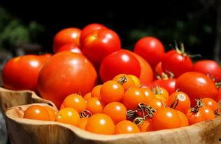 番茄免费小说古代吃瓜系统读心文,吃瓜系统助我读心，解锁宫廷秘闻  第2张