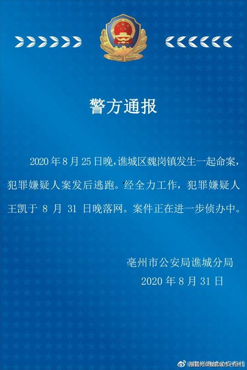大学最新爆料案件大全视频,视频曝光校园风云录  第3张