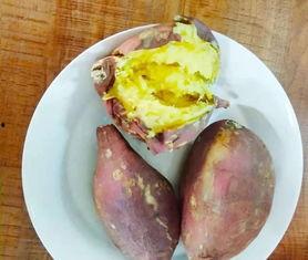 免费吃瓜地瓜,畅享田园美味新体验  第3张