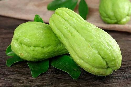 樟树免费吃瓜,樟树邀您共享夏日清凉  第1张